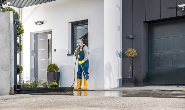 Best Building Exterior Washing  in Micco, FL